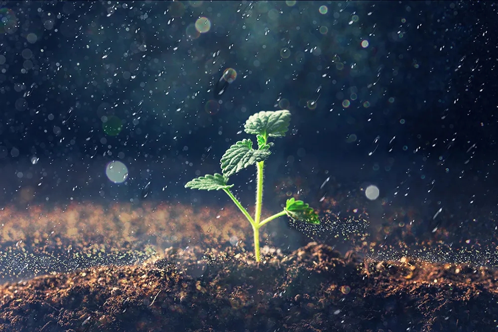 科普時(shí)間到，你知道其他國家是怎么解決廚余垃圾的嗎？