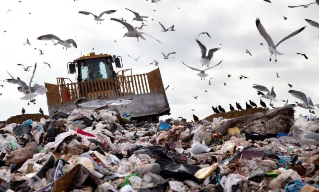 廚房垃圾處理器之政策分析