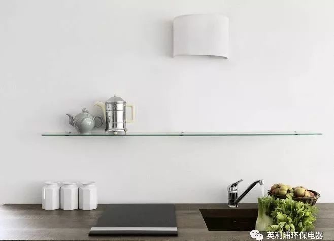 “現(xiàn)代化小家電”——英利浦廚余垃圾處理器