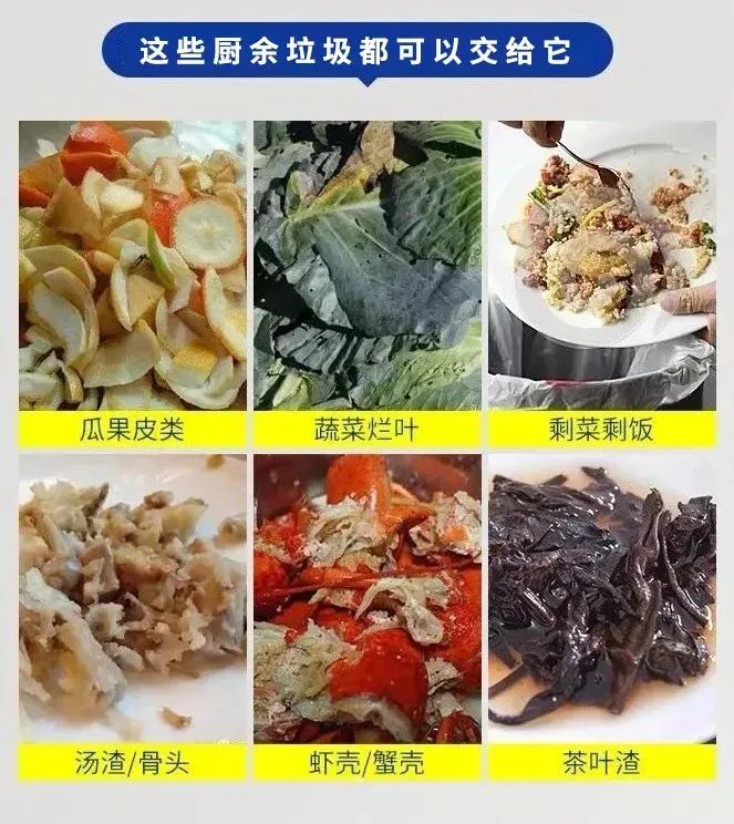 廚余易腐發(fā)臭不用怕！英利浦垃圾處理器一鍵解決廚余垃圾煩惱