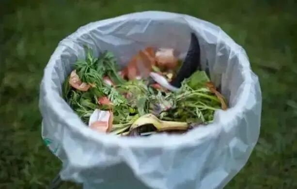 1616673415420076.jpg 1616673415420076.jpg