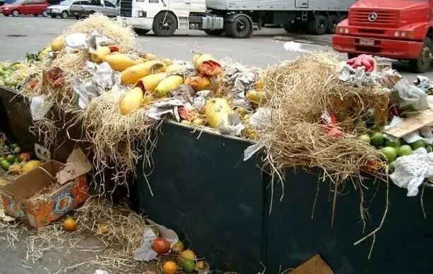 1616673425492713.jpg 1616673425492713.jpg