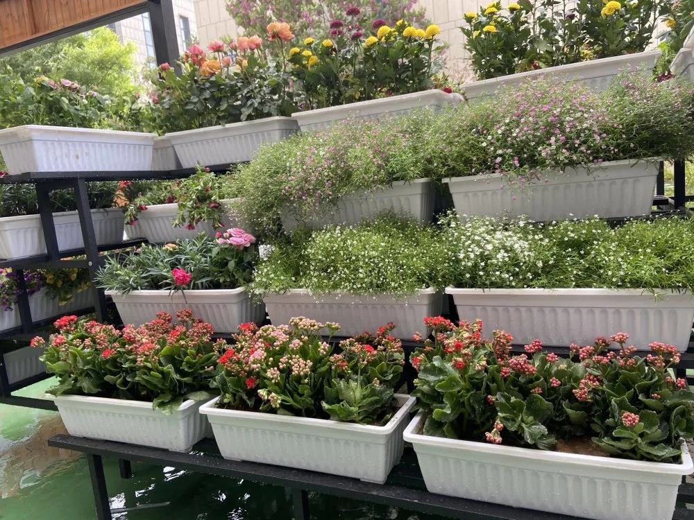 1620724967732400.jpg 640.webp (8).jpg