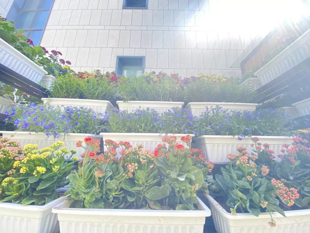 1621599453910380.jpg 640.webp (21).jpg