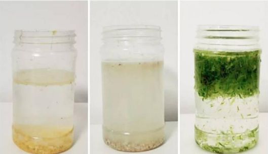 1624438156128875.jpg 4.jpg