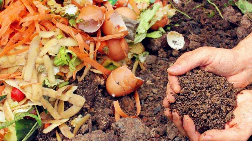 1624782577138248.jpg 5.jpg