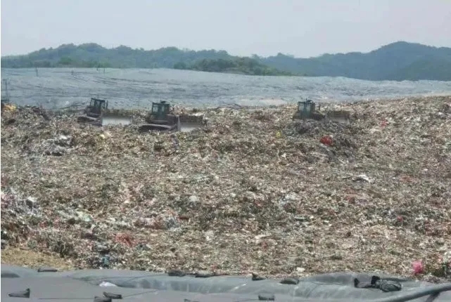 1625390985510399.jpg 640.webp.jpg