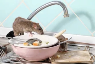 1642493304647714.jpg 640.webp (3).jpg