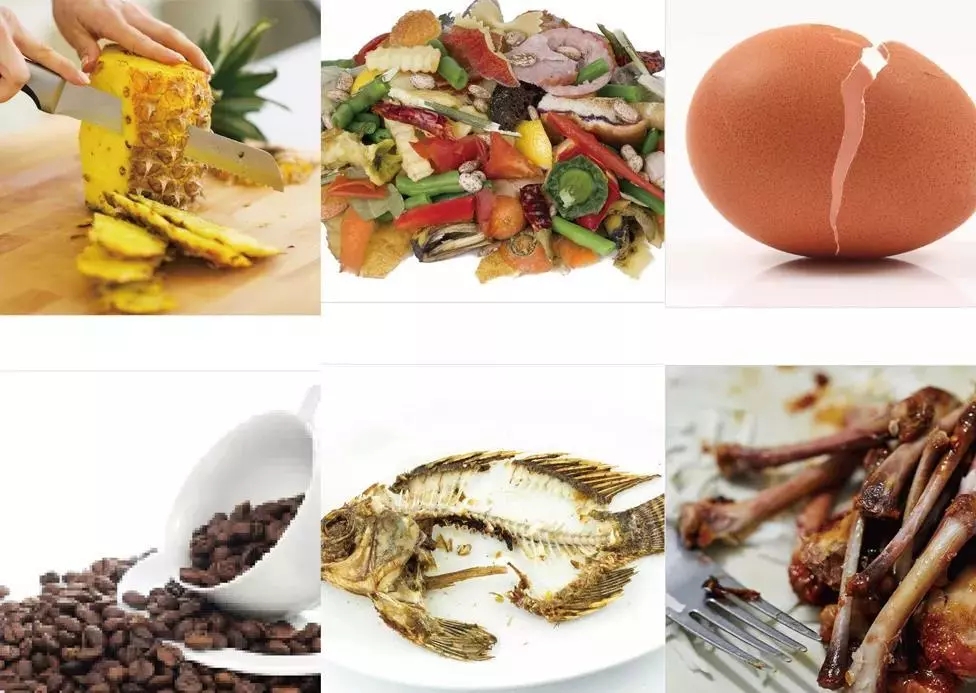 1642759258149062.jpg 640.webp (5).jpg