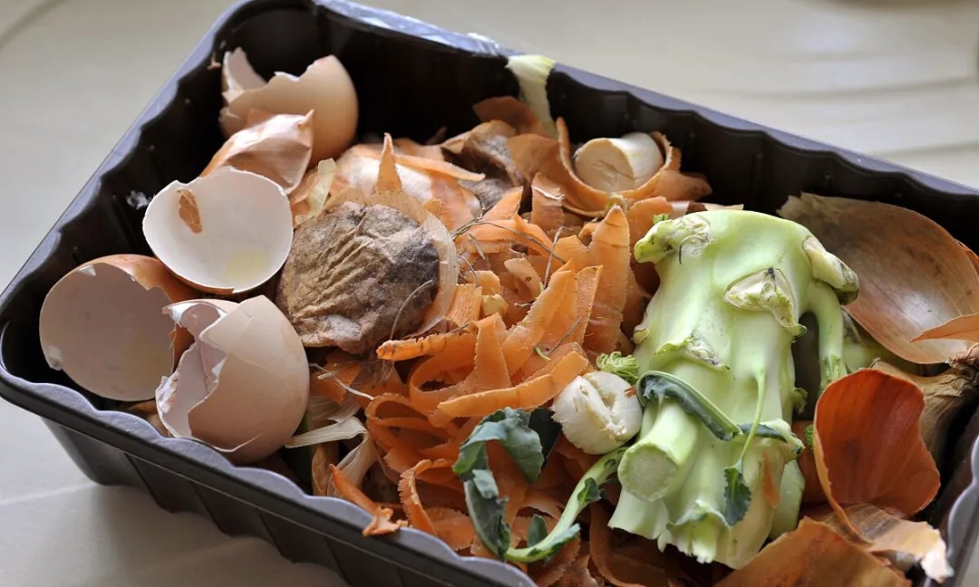 1642760407697459.jpg 640.webp.jpg