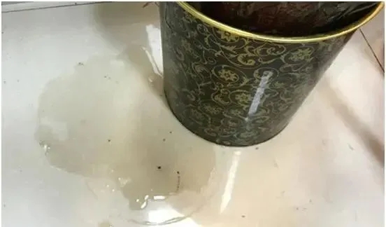 1642764653214900.jpg 640.webp (2).jpg