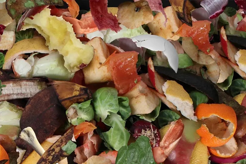 1644895780964127.jpg 1644895780964127.jpg