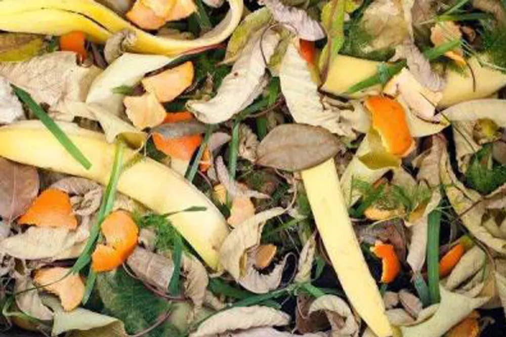 1645498310613159.jpg 1645498310613159.jpg