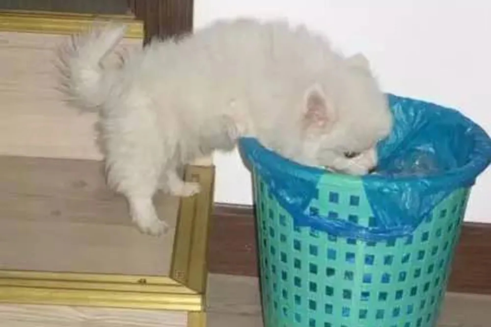 1645498324855213.jpg 1645498324855213.jpg