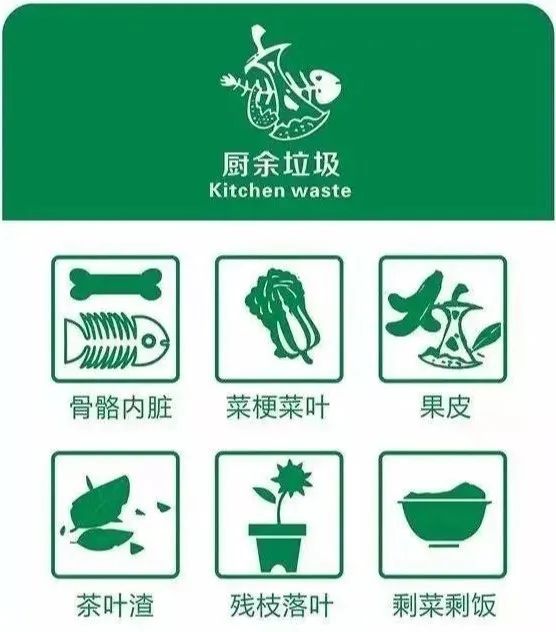 1650512339292659.jpg 640.jpg