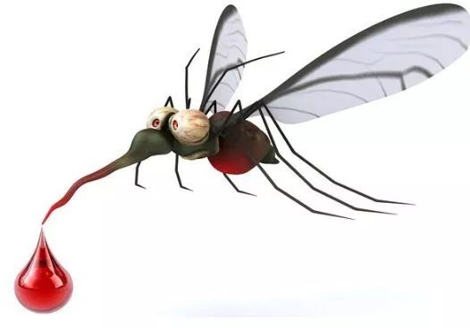 1655277549126879.jpg 640 (3).jpg