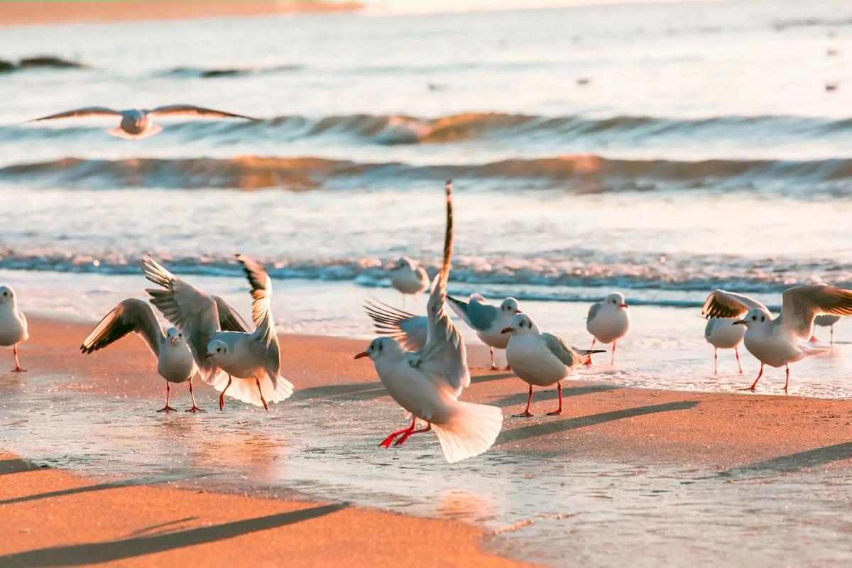 1714613585126263.jpeg 海歐.jpeg